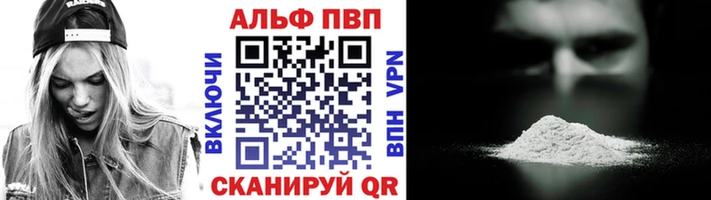 A PVP СК Инсар