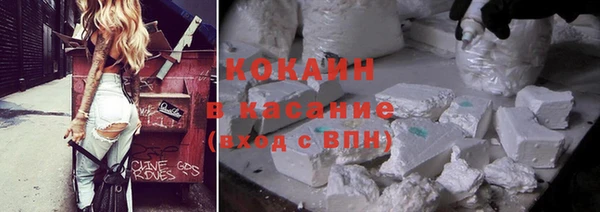 индика Алзамай