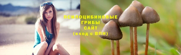 не бодяженный Алексеевка