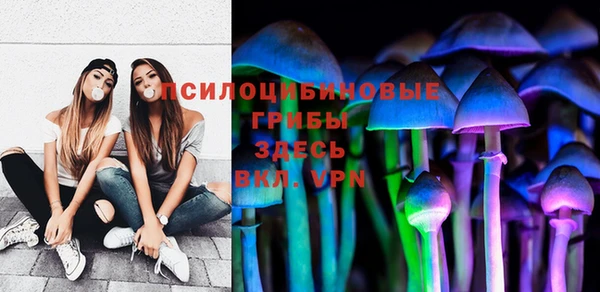 индика Алзамай